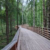 95: «Вело номер 1 и другое» 16-19 мая 2025