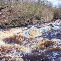 96:Полисть 2-Полометь