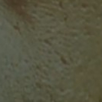 Лерон Прокоптил 